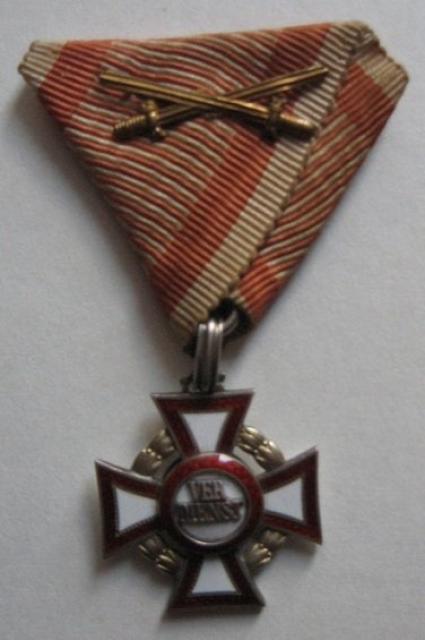 1 Український легіон, Україна