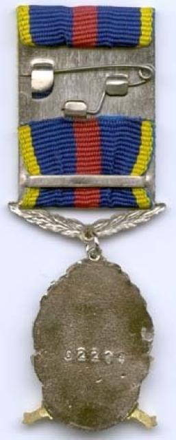 Медаль 10 років Збройним Силам України, Україна