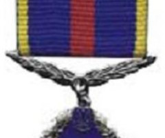 Медаль 10 років Збройним Силам України, Україна