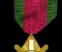 Військовий хрест Української Народної Республіки, Україна