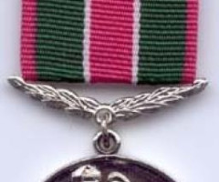 Медаль За мужність у захисті державного кордону України, Україна