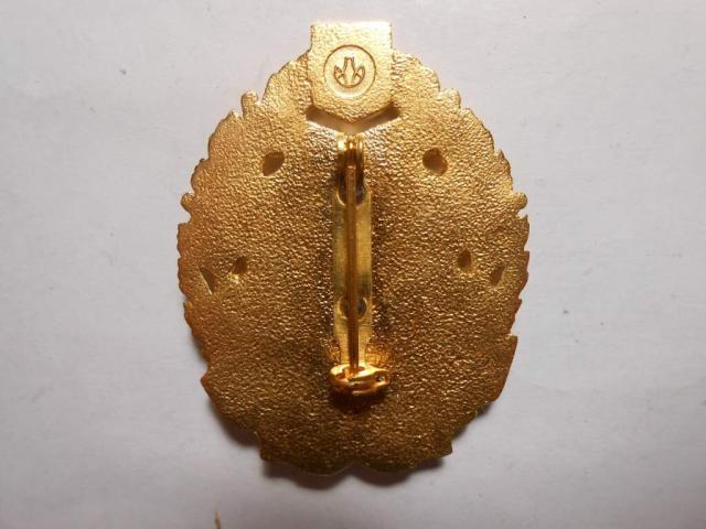 Мати-героїня, Україна