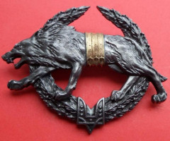 Знак берета, Україна