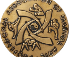 Професійні види бойових мистецтв, Україна