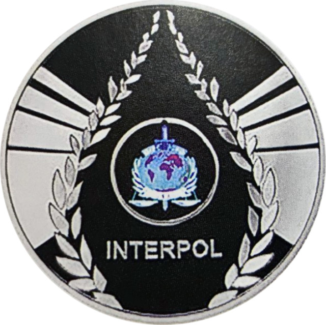 Інтерпол, Україна
