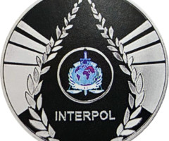 Інтерпол, Україна