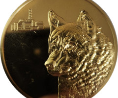 Вовк, Україна