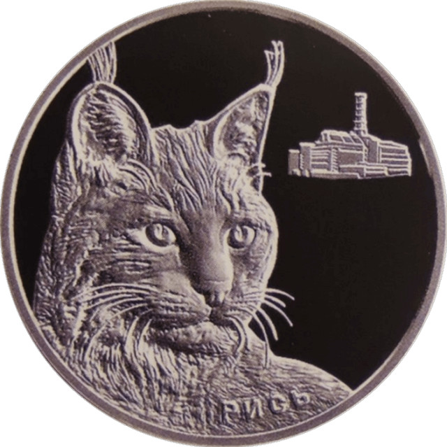 Рись, Україна