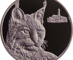 Рись, Україна