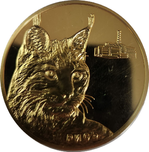 Рись, Україна