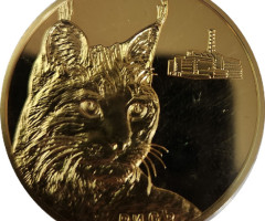 Рись, Україна