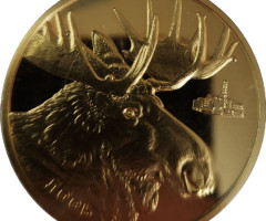 Лось, Україна