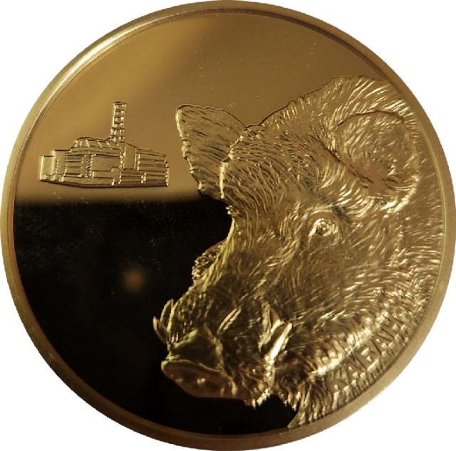 Кабан, Україна