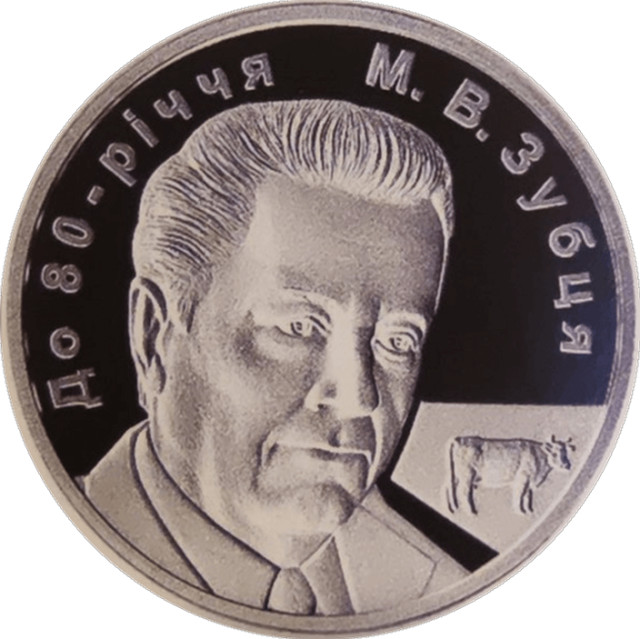 Михайло Зубець, Україна