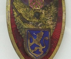 Бейджі для кепок 1 типу, Україна