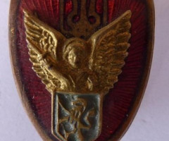 Бейджики для кепок 6 типу, Україна