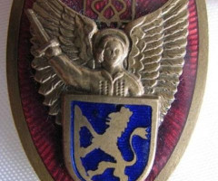 Бейджики для кепок 7 типу, Україна