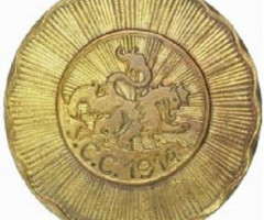 Бейджі для кепок 7 типу, Україна