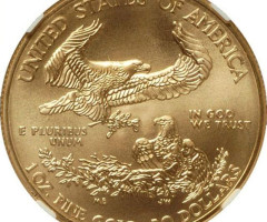 Монета Американський золотий орел, 50 доларів 2013, США, США