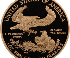 Монета Американський золотий орел, 50 доларів 2010, США, США
