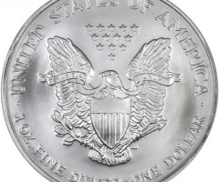 Монета Американський срібний орел, 1 долар 2007, США, США