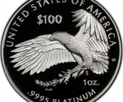 Монета Американський Платиновий орел, 100 доларів 2020, США, США