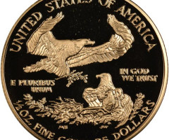 Монета Американський золотий орел, 25 доларів 2006, США, США