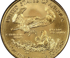 Монета Американський золотий орел, 5 доларів 2009, США, США