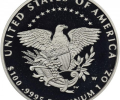 Монета Американський Платиновий орел, 100 доларів 2005, США, США