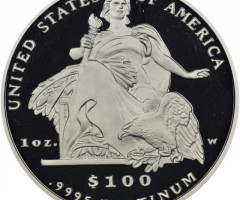 Монета Американський Платиновий орел, 100 доларів 2004, США, США