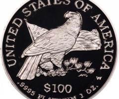 Монета Американський Платиновий орел, 100 доларів 2003, США, США