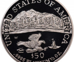 Монета Американський Платиновий орел, 50 доларів 2002, США, США