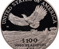 Монета Американський Платиновий орел, 100 доларів 2000, США, США