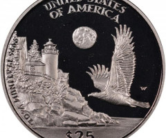 Монета Американський Платиновий орел, 25 доларів 1998, США, США