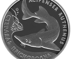Монета Стерлядь прісноводна, 10 гривень 2012, Україна, Флора і фауна