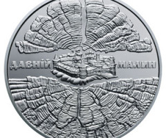 Монета Давній Малин, 5 гривень 2016, Україна, Стародавні міста України
