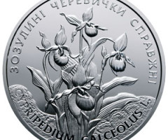 Монета Зозулині черевички справжні, 10 гривень 2016, Україна, Флора і фауна