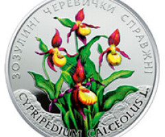 Монета Зозулині черевички справжні, 2 гривні 2016, Україна, Флора і фауна