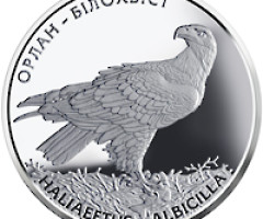 Монета Орлан-білохвіст, 10 гривень 2019, Україна, Флора і фауна