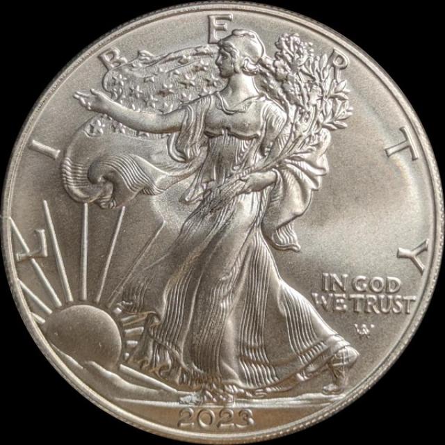 Монета Американський срібний орел, 1 долар 2023, США, США