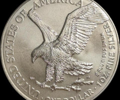 Монета Американський срібний орел, 1 долар 2023, США, США