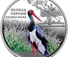 Монета Лелека чорний, 5 гривень 2024, Україна, Чорнобиль. Відродження.