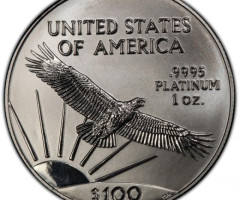 Монета Американський Платиновий орел, 100 доларів 2003, США, США