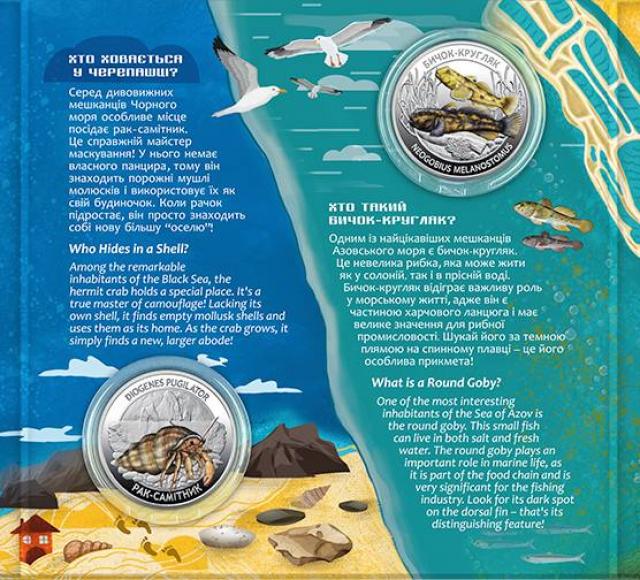 Мешканці морських глибин, Україна, Флора і фауна