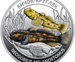 Монета Бичок-кругляк, 5 гривень 2025, Україна, Мешканці морських глибин