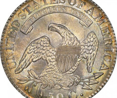 Монета Capped Bust Half Dollar, 50 центів 1828, США, США
