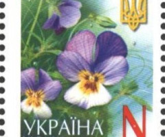 Марка Pansy - Viola Tricolor (N), Україна 2005