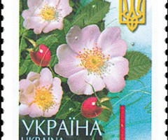 Марка Sweetbrier - Rosa Canina (L), Україна 2005