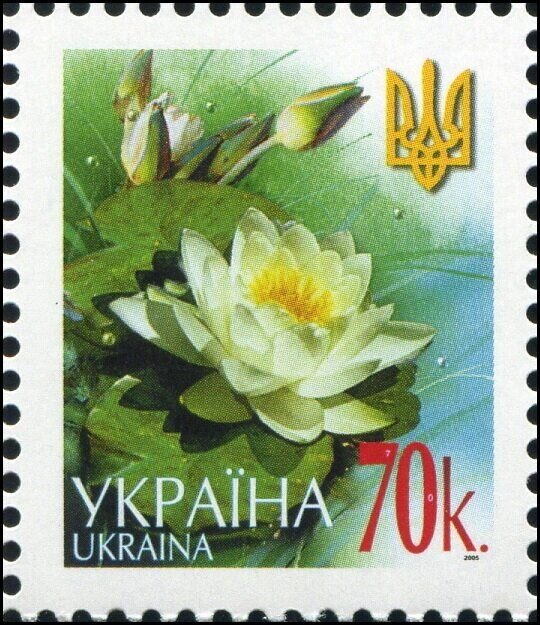 Марка White water-lily (Nymphaea alba), Україна 2005