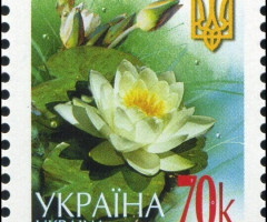 Марка White water-lily (Nymphaea alba), Україна 2005